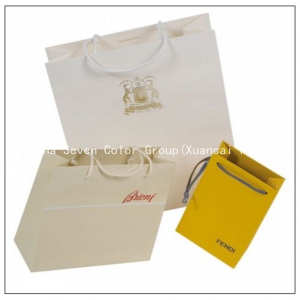 2018 Deluxe Brand Laminated Gift Paper Bag 